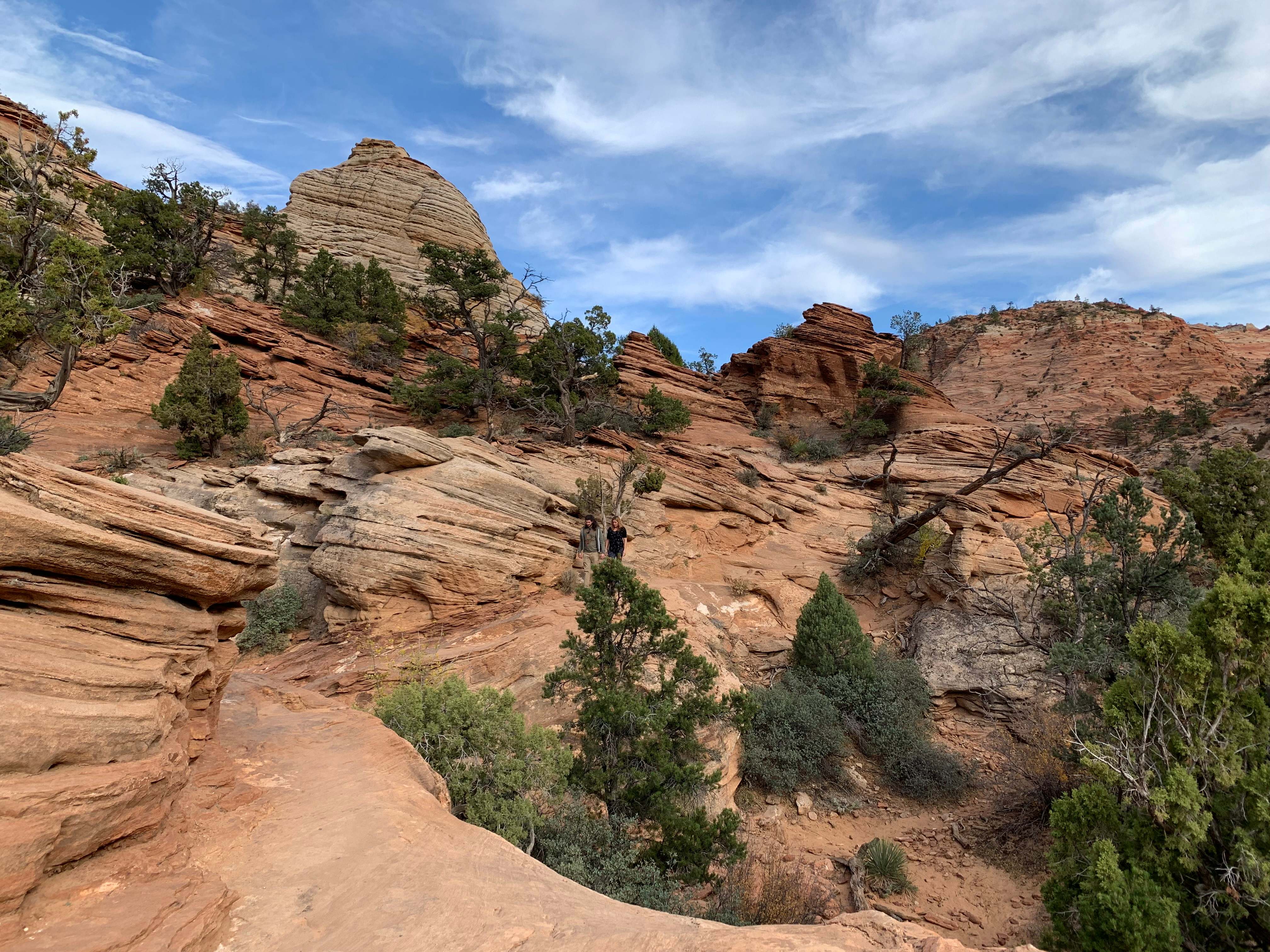 Zion NP